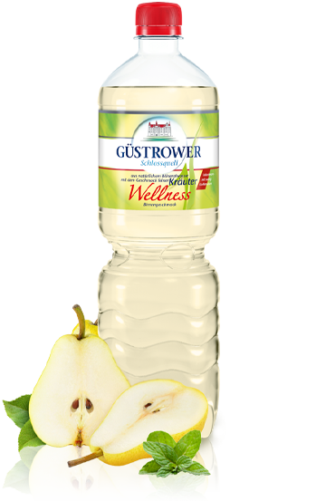 Güstrower Schlossquell - Wellness